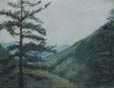 117catskill tree